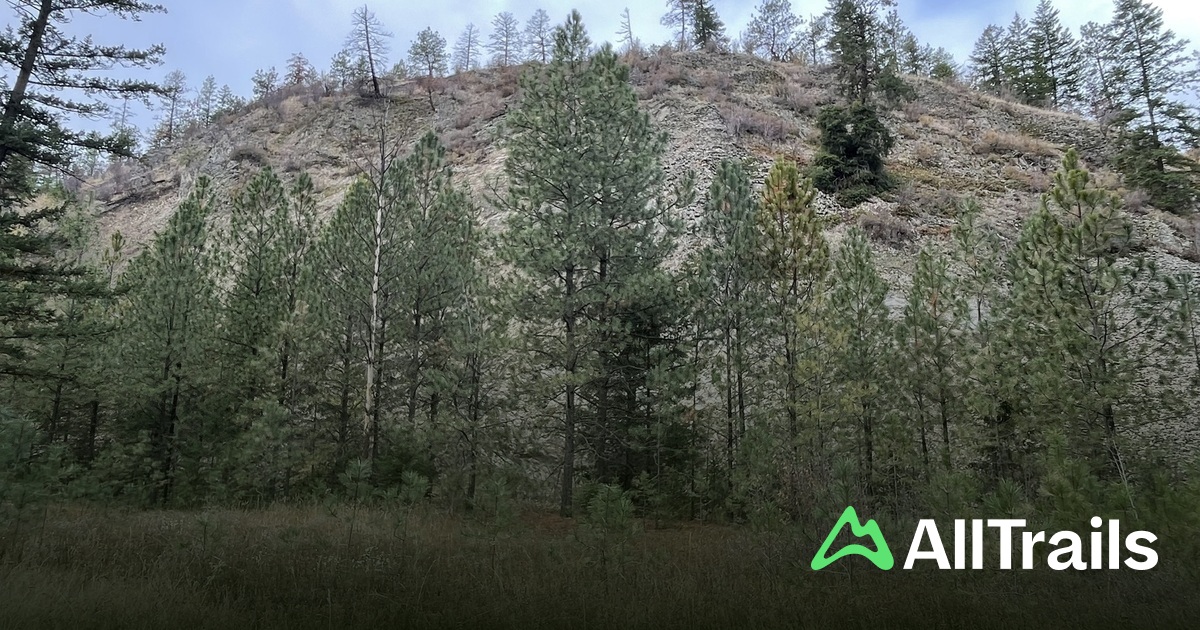 Best hikes and trails in Quail Ridge Linear Park | AllTrails