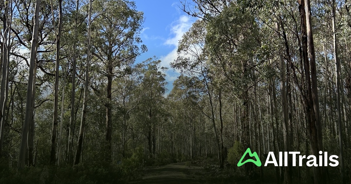 Conservation Ridges Best hikes and trails in Denison Ridge Conservation Area | AllTrails