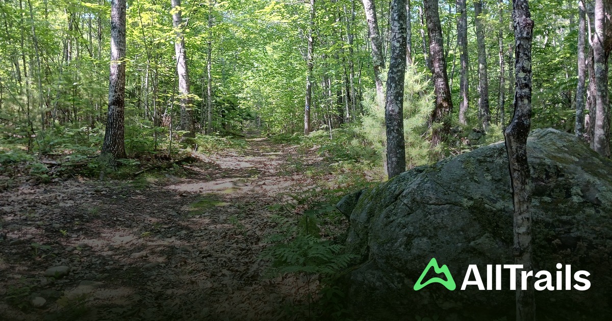 Best hikes and trails in Rolfe Hill Forest | AllTrails