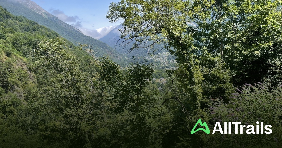 Best hikes and trails in Forêt Domaniale de l'Ayré et du Lisey | AllTrails