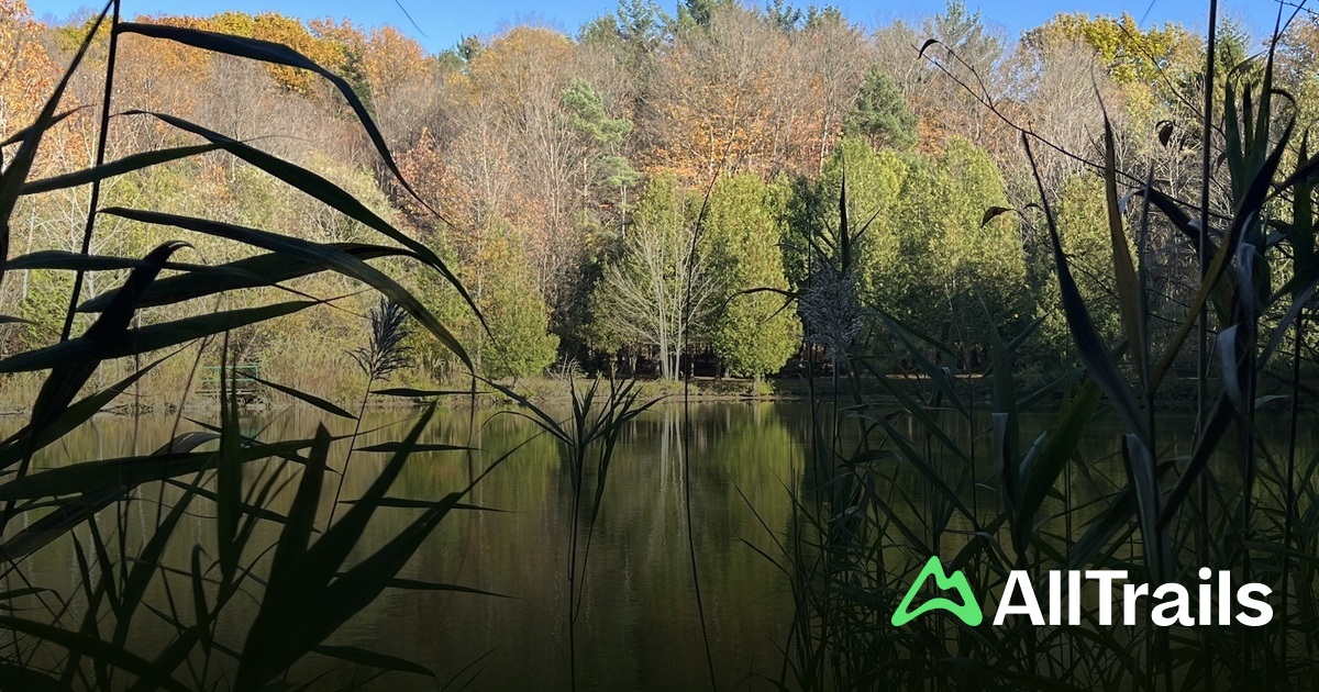 Perry Spring Il Best hikes and trails in Perry Springs Park | AllTrails