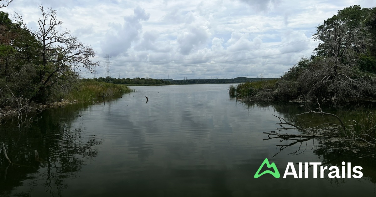 Best hikes and trails in Lake Bastrop Lands | AllTrails