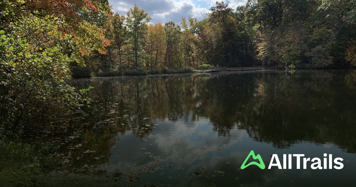 Best hikes and trails in Demarest Kill Park | AllTrails
