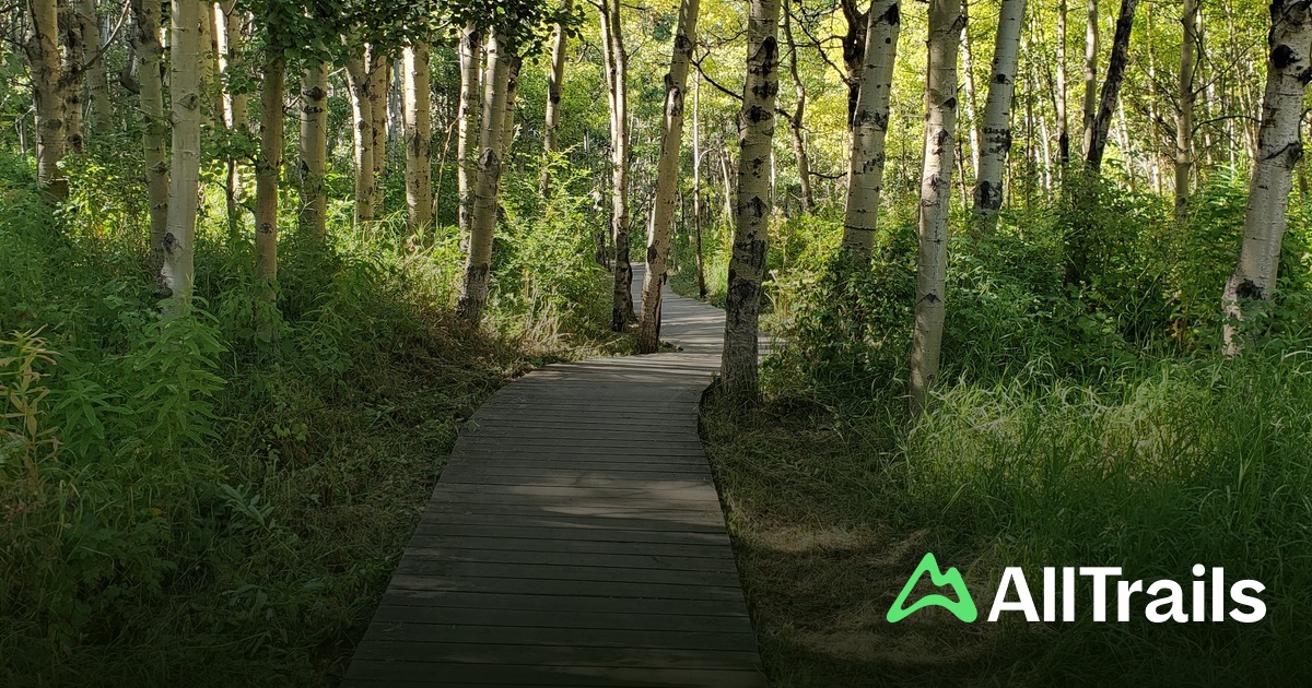 Strathcona Ravines Calgary Best hikes and trails in Strathcona Ravine | AllTrails