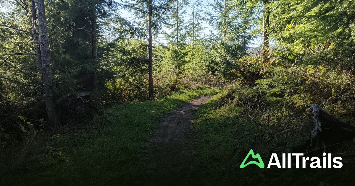 Best trail running trails in Klootchy Creek Mountain Bike Trails ...