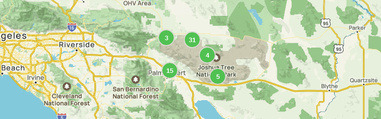 Best short hikes joshua cheap tree