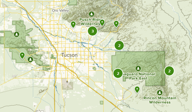 Best Camping Trails in Saguaro National Park | AllTrails