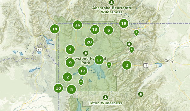 Best Forest Trails in Yellowstone National Park | AllTrails