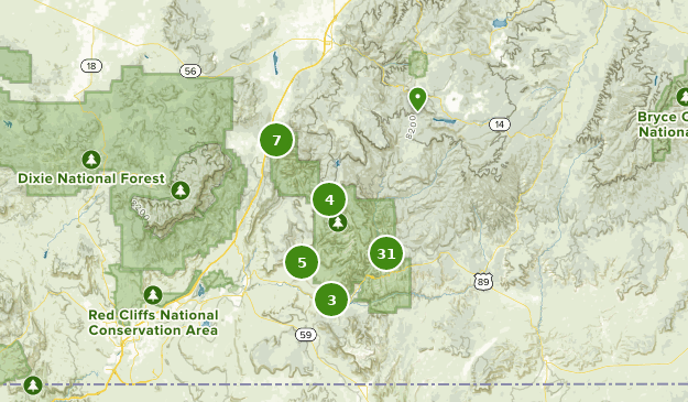Best Walking Trails in Zion National Park | AllTrails