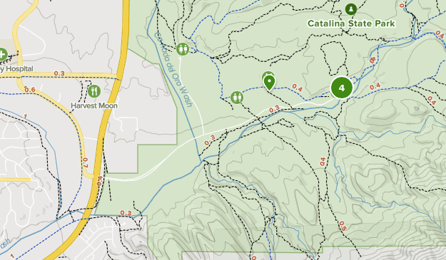 Best Camping Trails in Catalina - Parks Us Arizona Catalina State Park Camping 10107669 625x365 1 