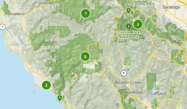 Best Kid Friendly Trails in Big Basin Redwoods State Park | AllTrails