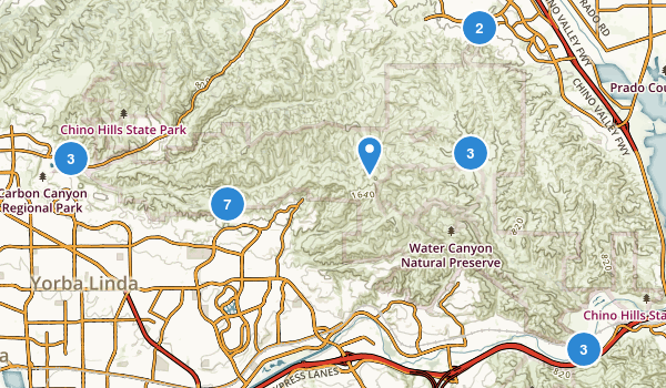 Best Wild Flowers Trails in Chino Hills State Park | AllTrails.com