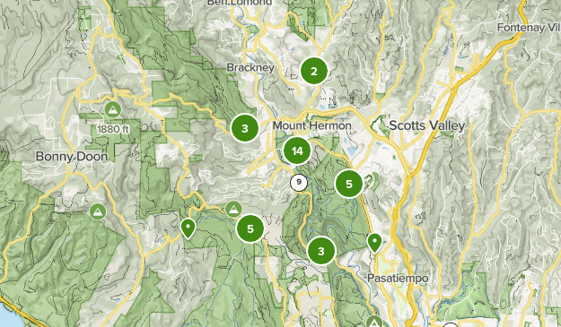 Henry Cowell Redwoods State Park Campsite Map – Navigating Your Redwood Adventure