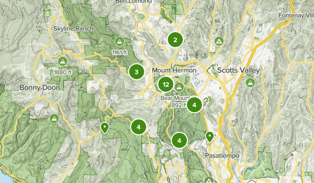 Best Walking Trails in Henry Cowell - Parks Us California Henry Cowell Redwoods State Park Walking 10108284 20200916110018000000000 625x365 1 
