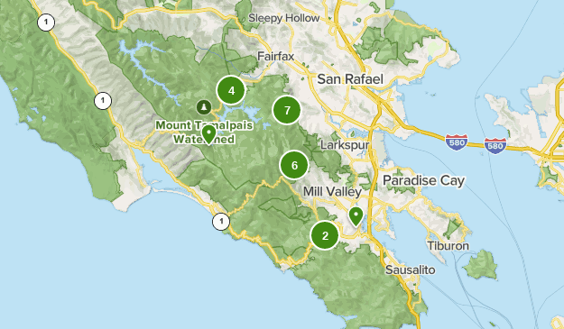 mt tam mountain biking