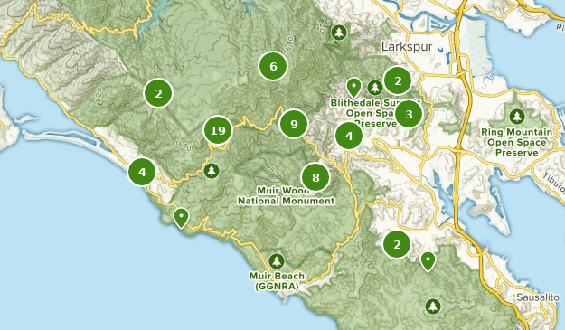 Best Walking Trails in Mount Tamalpais State Park  AllTrails