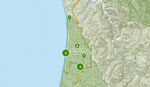 Best Camping Trails in Prairie Creek Redwoods State Park | AllTrails