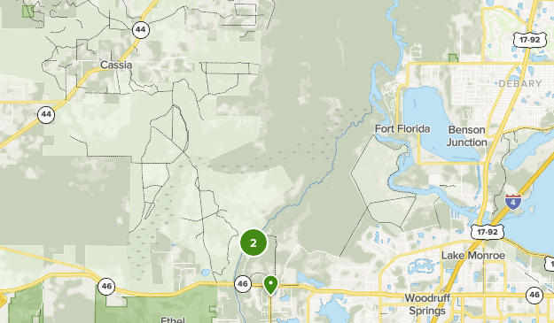 Best Wild Flowers Trails in Lower Wekiva River Preserve State Park ...