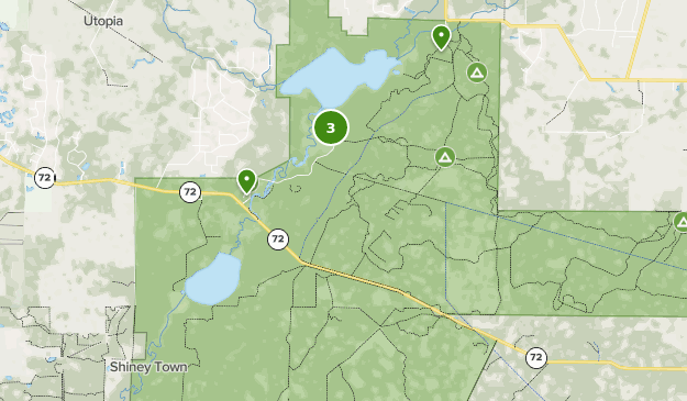 Best Camping Trails in Myakka River - Parks Us Florida Myakka River State Park Camping 10108897 20200625080219000000000 625x365 1