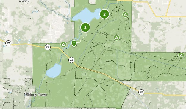 myakka state park map Best Dogs On Leash Trails In Myakka River State Park Alltrails myakka state park map