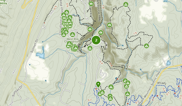 Best Kid Friendly Trails in Cloudland Canyon State Park | AllTrails