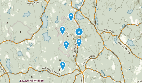 Best Hiking Trails In Wachusett Mountain State Reservation 