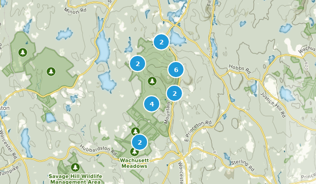 Best Walking Trails in Wachusett Mountain State Reservation | AllTrails