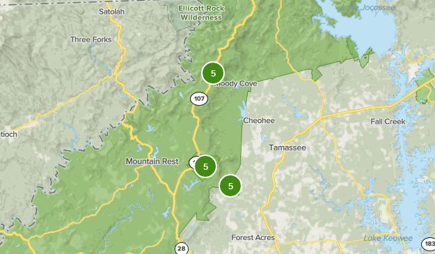 Best Walking Trails in Oconee State Park | AllTrails