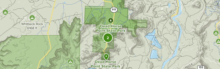 are dogs allowed in dead horse state park