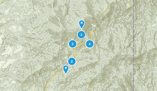 Best Hiking Trails in Mount Spokane State Park, Washington | AllTrails