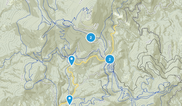 Best Trail Running Trails In Mount Spokane State Park, Washington ...