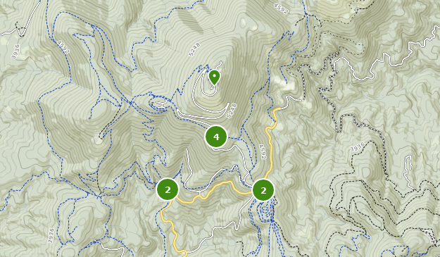 Best Walking Trails in Mount Spokane State Park | AllTrails
