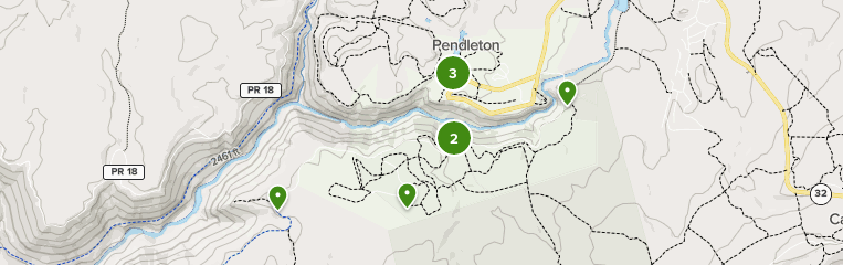 Blackwater Falls State Park Map Best 10 Wildlife Trails In Blackwater Falls State Park | Alltrails