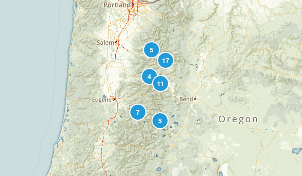 best birding trails in willamette national forest 2542 best birding trails in willamette national forest 2542