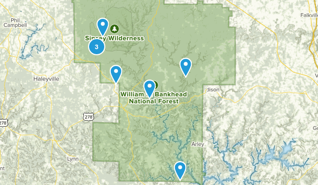 Best Forest Trails in William B - Parks Us Alabama William B Bankhead National Forest Forest 10116939 20180802094403 625x365 1 