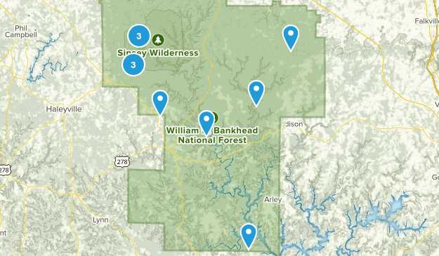 Parks Us Alabama William B Bankhead National Forest Hiking 10116939 20180802094403 625x365 1 