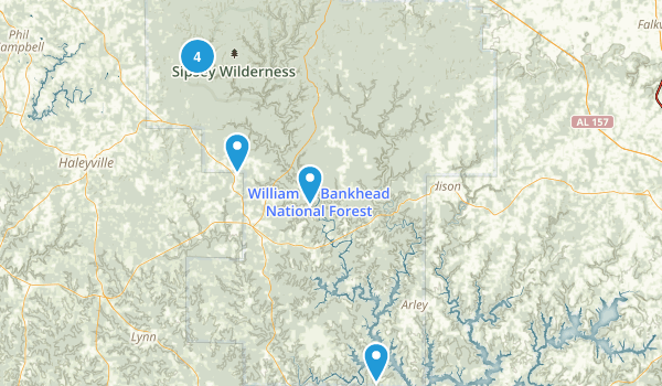 Best Wildlife Trails In William B Bankhead National Forest | 132 Photos ...