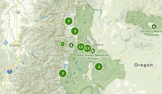 Best Snowshoeing Trails in Deschutes National Forest | AllTrails