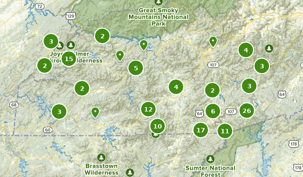 Best Wildlife Trails in Nantahala National Forest | AllTrails