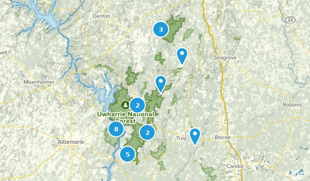 Best Forest Trails in Uwharrie National Forest | AllTrails