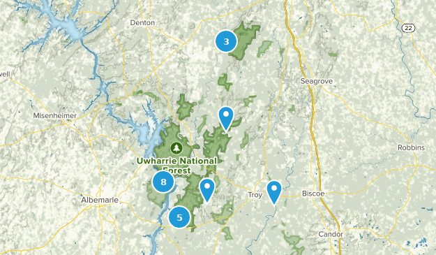 Best Views Trails in Uwharrie National Forest | AllTrails