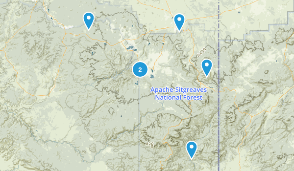 Best Wild Flowers Trails in Apache - Parks Us Arizona Apache Sitgreaves National Forest Wild Flowers 10118200 20180123094659 600x350 1