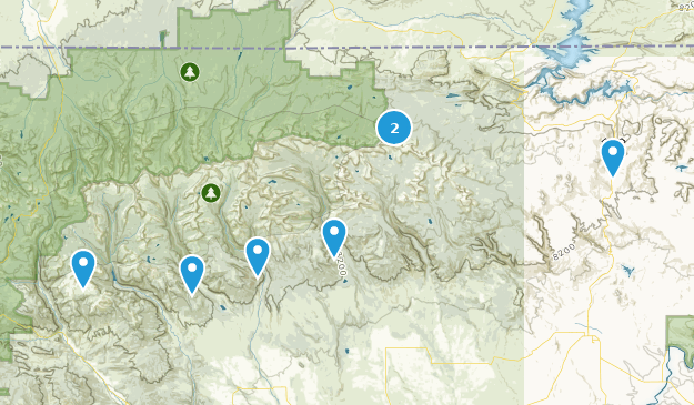 Best Camping Trails In Ashley National Forest Utah Alltrails