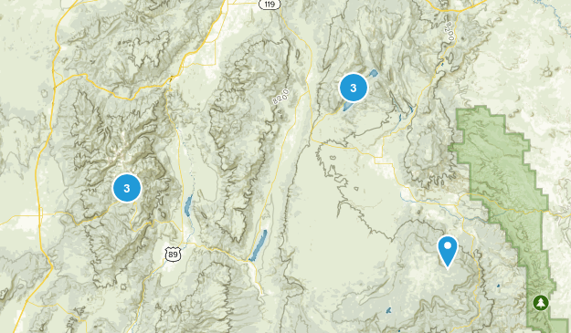Best Lake Trails in Fishlake National Forest | AllTrails