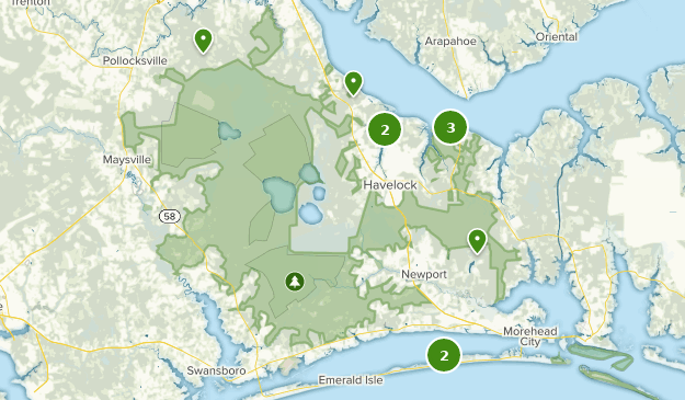 Best Forest Trails in Croatan National Forest | AllTrails