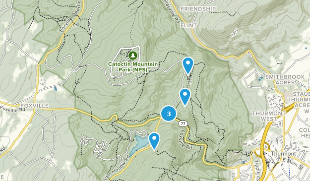 Best Trail Running Trails in Catoctin Mountain Park | AllTrails