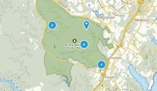 Best Hiking Trails in Prince William - Parks Us Virginia Prince William Forest Park Hiking 10119970 20180802094427 625x365 1 