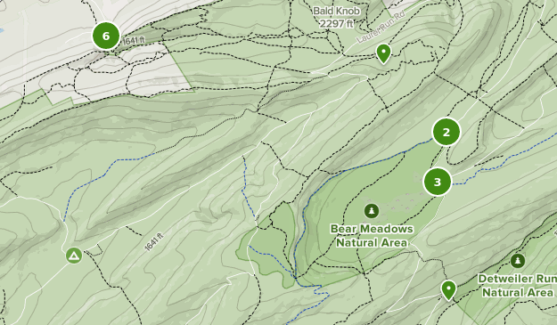 Best Forest Trails in Bear Meadows Natural Area AllTrails