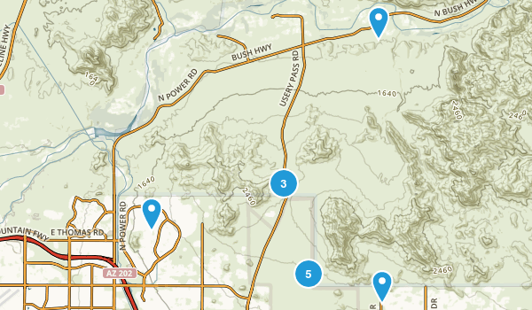 Best Birding Trails in Usery Mountain Regional Park | 784 Photos & 1047