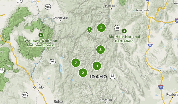 Best Bird Watching Trails in Frank Church-River of No Return Wilderness ...